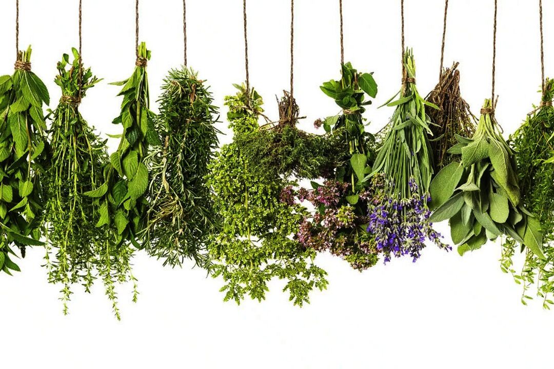 Ekstrak Herba Tropika di Eroboost